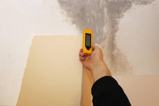Best Post-Remediation Verification Testing  in Woodbine, NJ