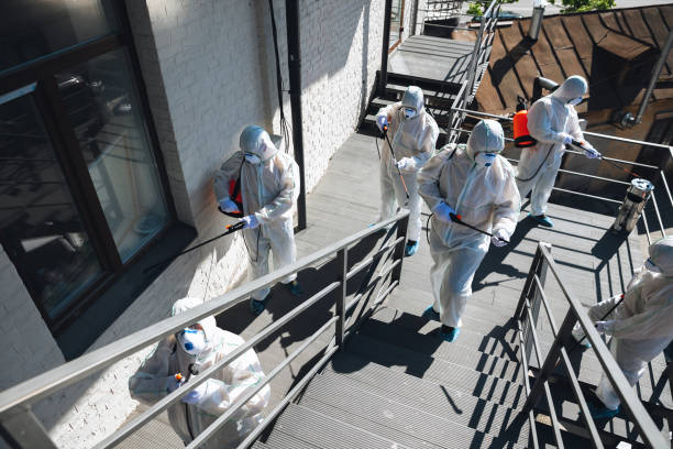 Mold Removal for HVAC Installations in Woodbine, NJ
