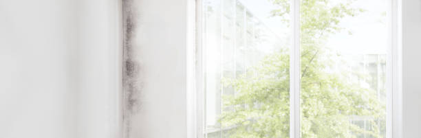 Best Air Quality Testing for Mold Spores  in Woodbine, NJ