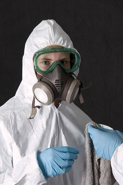 Best Industrial Mold Remediation  in Woodbine, NJ